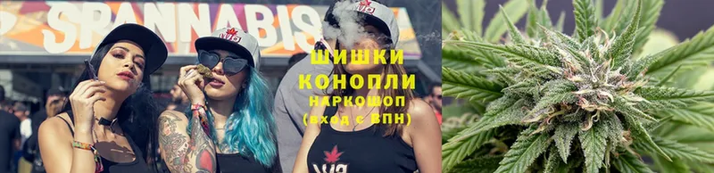 Конопля White Widow  площадка как зайти  Новочебоксарск 